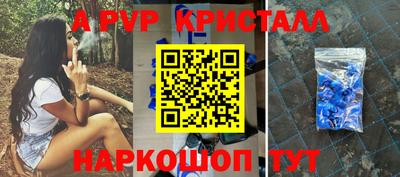 apvp Кингисепп