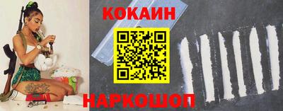 apvp Кингисепп