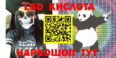 apvp Кингисепп
