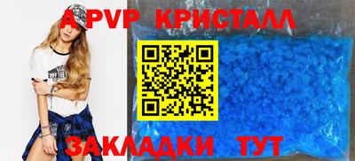 apvp Кингисепп