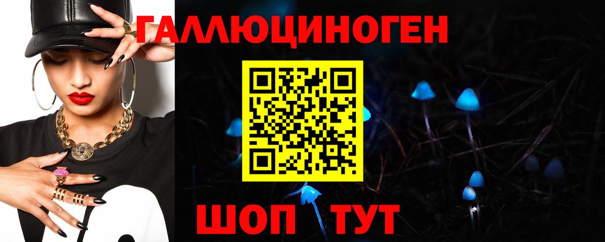 закладки  Галлюциногенные грибы MAGIC MUSHROOMS  Вход с VPN  Красноармейск 
